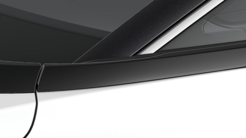 Blanc Glacier / Toit Noir
