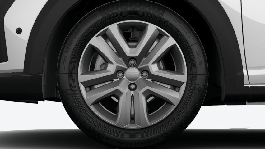Enjoliveur 16'' Saria Stepway