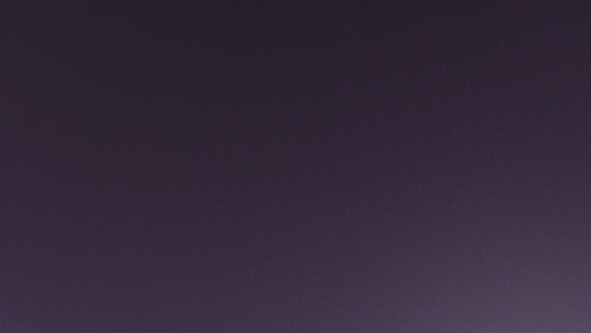 Violet Blueberry